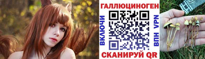 Галлюциногенные грибы мухоморы Кинель